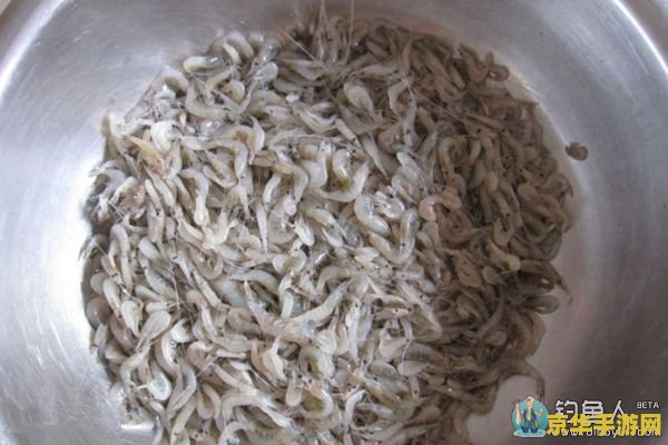 鱼饵的制作方法和配方原神 原神鱼饵制作方法与配方大揭秘