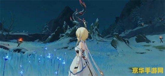 原神风花节雪山留影 原神风花节雪山留影：探索与摄影的奇妙之旅