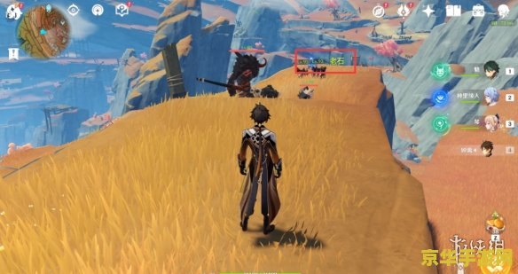 原神老石在哪里找 原神攻略：探寻神秘老石，解锁原石宝藏