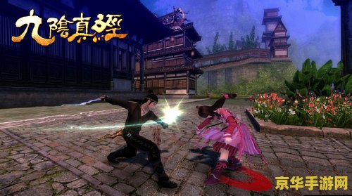 九阴真经猪血 九阴真经猪血：武侠世界中的神秘元素