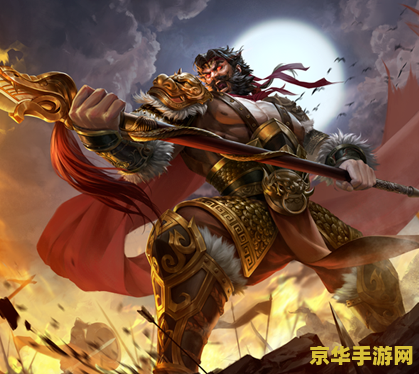 三国杀欢乐成双 三国杀欢乐成双：策略与合作的双重考验