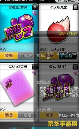 qq飞车紫钻等级 QQ飞车紫钻等级解析：特权与荣耀的象征