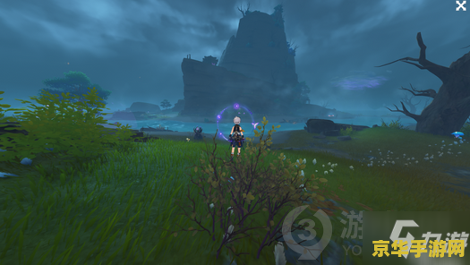 原神雾海纪行三个栖木羽毛位置 原神雾海纪行：探寻三个栖木羽毛之秘