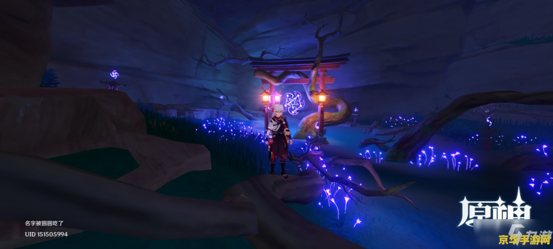 原神临时何故最此间 原神：临时何故最此间——深入探索与解读