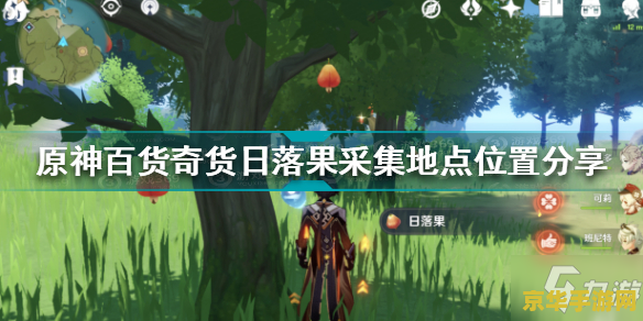 原神日落果位置 原神攻略：探寻最佳日落果采集点