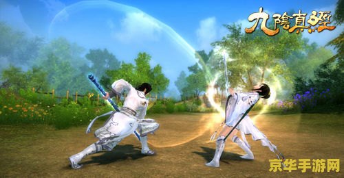 九阴真经五郎八卦棍 九阴真经五郎八卦棍：武林绝学探秘