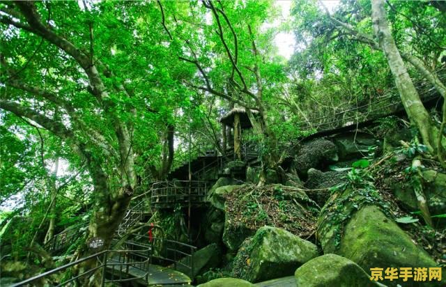 原神哪里有椰子树 原神探索之旅：椰子树的秘密藏身之处
