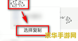 王者荣耀里翅膀怎么打出来 王者荣耀翅膀符号输入技巧与游戏深度解析