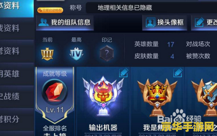 王者荣耀怎么隐藏成就显示 王者荣耀：如何隐藏与显示成就，深入解析游戏设置与隐私功能