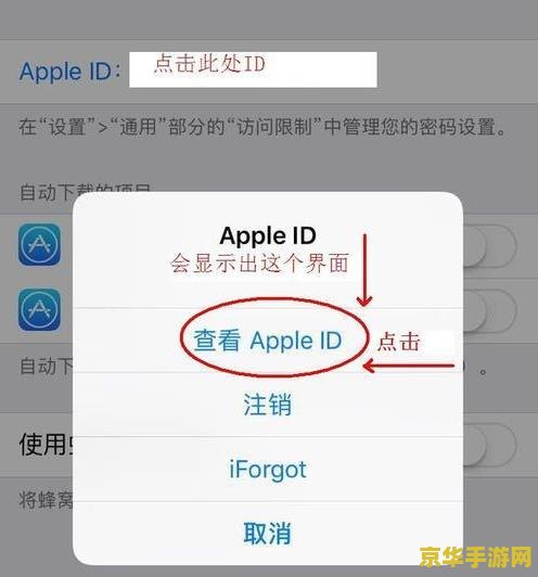 苹果手机怎么设置充值王者荣耀 苹果手机设置充值王者荣耀：便捷操作与游戏魅力解析