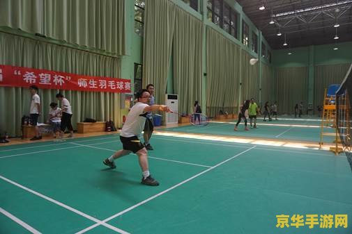 原神羽球框 原神羽球框：探索与竞技的完美结合