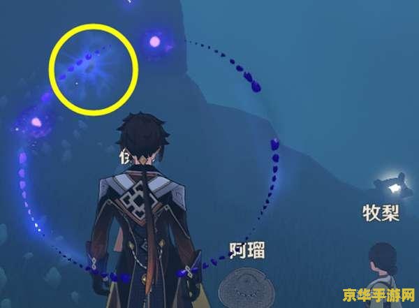 原神世界任务暂留此影怎么做 原神世界任务：暂留此影攻略详解