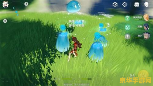 原神掣电树位置 原神攻略掣电树位置详解及战斗策略 原神掣电树位置 原神攻略掣电树位置详解及战斗策略