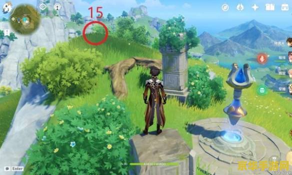 原神璃月清心在哪里买 原神攻略璃月清心购买指南：探索清心之源