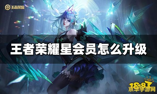 王者荣耀会员怎么用 王者荣耀会员使用指南