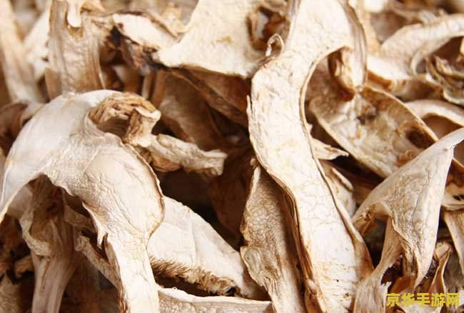 原神松茸可以买吗 原神松茸购买指南：探索与购买的双重选择