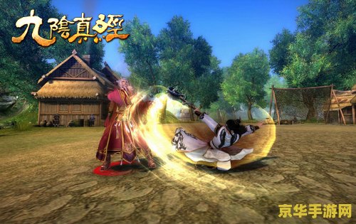 九阴真经降龙十巴掌 九阴真经降龙十巴掌：武侠世界的绝学传奇