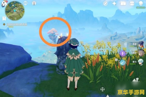 原神无妄坡副本石像点亮顺序 原神无妄坡副本石像点亮顺序攻略 原神无妄坡副本石像点亮顺序 原神无妄坡副本石像点亮顺序攻略