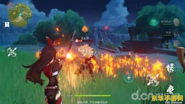 原神火水酒 原神火水酒:元素交织与冒险之旅 原神火水酒 原神火水酒:元素交织与冒险之旅