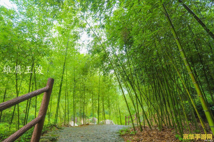 梦幻叶子 梦幻叶子：探索绿色奇境的游戏之旅