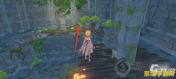 原神天遒谷解密任务 原神：天遒谷解密之旅