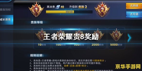 王者荣耀贵族8怎么设置 王者荣耀贵族8设置指南：尊享特权与独特标识