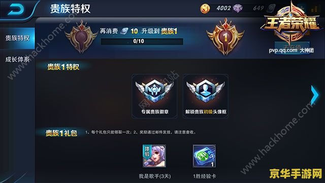 王者荣耀贵族8怎么设置 王者荣耀贵族8设置指南：尊享特权与独特标识