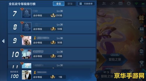 王者荣耀 排位等级怎么看 王者荣耀攻略：轻松查看排位等级，提升游戏实力