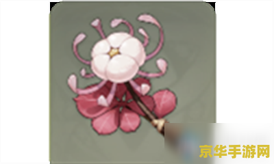原神霓裳花有什么用 原神霓裳花：用途与获取之道