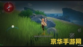 原神偷书贼任务怎么做 原神攻略：偷书贼任务全解析