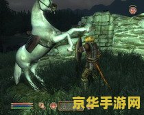 上古卷轴4配置 上古卷轴4配置解析：硬件需求与游戏优化