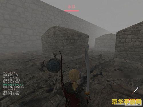 骑马与砍杀:光明与黑暗 骑马与砍杀：光明与黑暗之旅