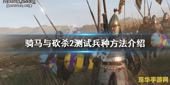 骑马与砍杀兵种修改 骑马与砍杀:兵种深度定制与策略解析 骑马与砍杀兵种修改 骑马与砍杀:兵种深度定制与策略解析