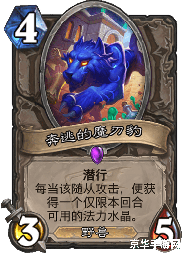 梦三国夜刃豹 梦三国夜刃豹：暗夜中的利刃舞者