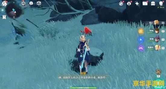 原神山顶怎么上去 原神攻略：揭秘雪山山顶登顶之道