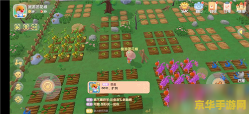 摩尔庄园萤火草怎么得 摩尔庄园萤火草获取攻略