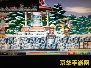 冒险岛转蛋机 冒险岛转蛋机：探索与惊喜的奇妙之旅