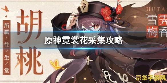 原神霓裳花采集材料 原神：霓裳花采集攻略与材料应用深度解析