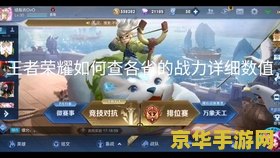 王者荣耀战力怎么减少了 王者荣耀战力减少的原因分析与策略探讨