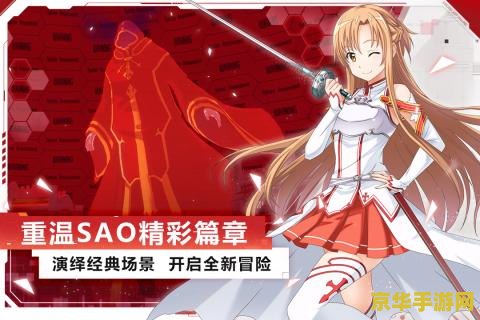 刀剑神域黑衣剑士王牌 刀剑神域黑衣剑士王牌：虚拟世界的冒险之旅