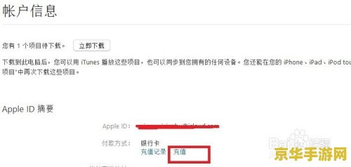 ipad王者荣耀充值失败怎么回事 iPad王者荣耀充值失败原因解析及解决方案