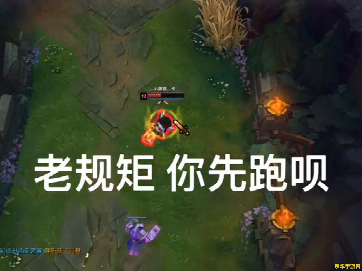 英雄联盟德玛西亚之翼百度百科 英雄联盟德玛西亚之翼：英雄深度解析