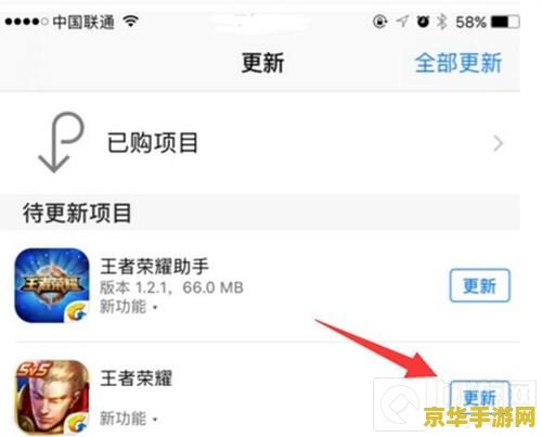 ios王者荣耀美服怎么下载 iOS王者荣耀美服下载指南