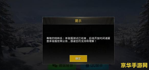 和平精英上线日期 和平精英上线日期解析及游戏深度探讨