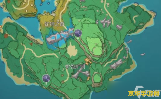 原神稻妻新地灵龛位置 原神攻略稻妻新地灵龛位置大揭秘