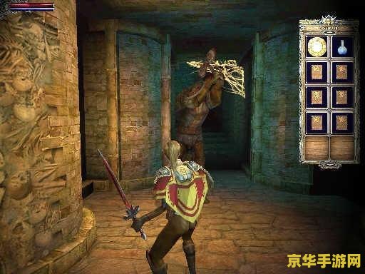 龙与地下城地下城主 龙与地下城：地下城主的奇幻之旅
