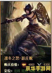 英雄联盟4900点券是多少人民币 英雄联盟4900点券的价值解析：人民币换算与游戏内消费探讨