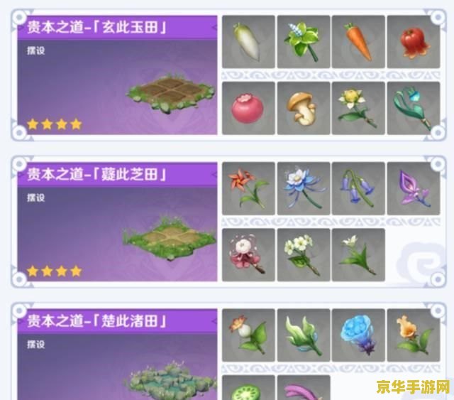 原神小精灵可以拥有几个 原神小精灵：拥有数量与功能解析