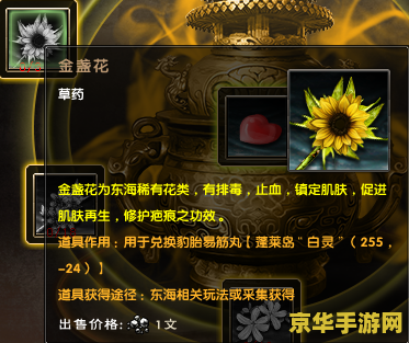 九阴真经奇遇任务 九阴真经奇遇任务：江湖风云再起