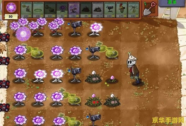 植物大战僵尸魔幻 植物大战僵尸：魔幻版